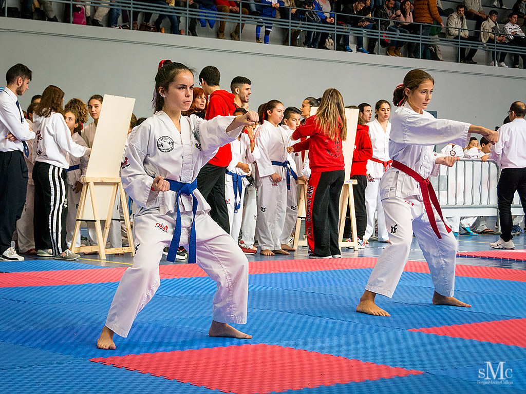 COPA SEUL, 2017  (67).JPG